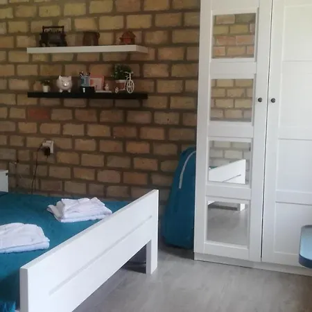 Bakina Kuca Daire Golubac Dış mekan fotoğraf