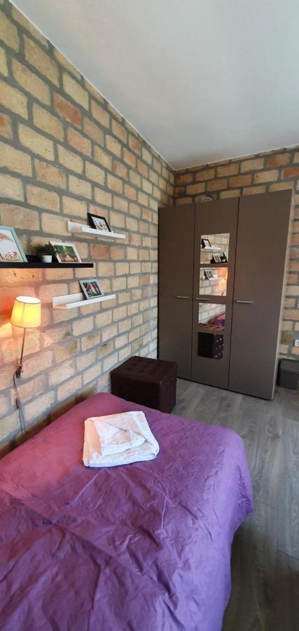 Bakina Kuca Apartment Golubac